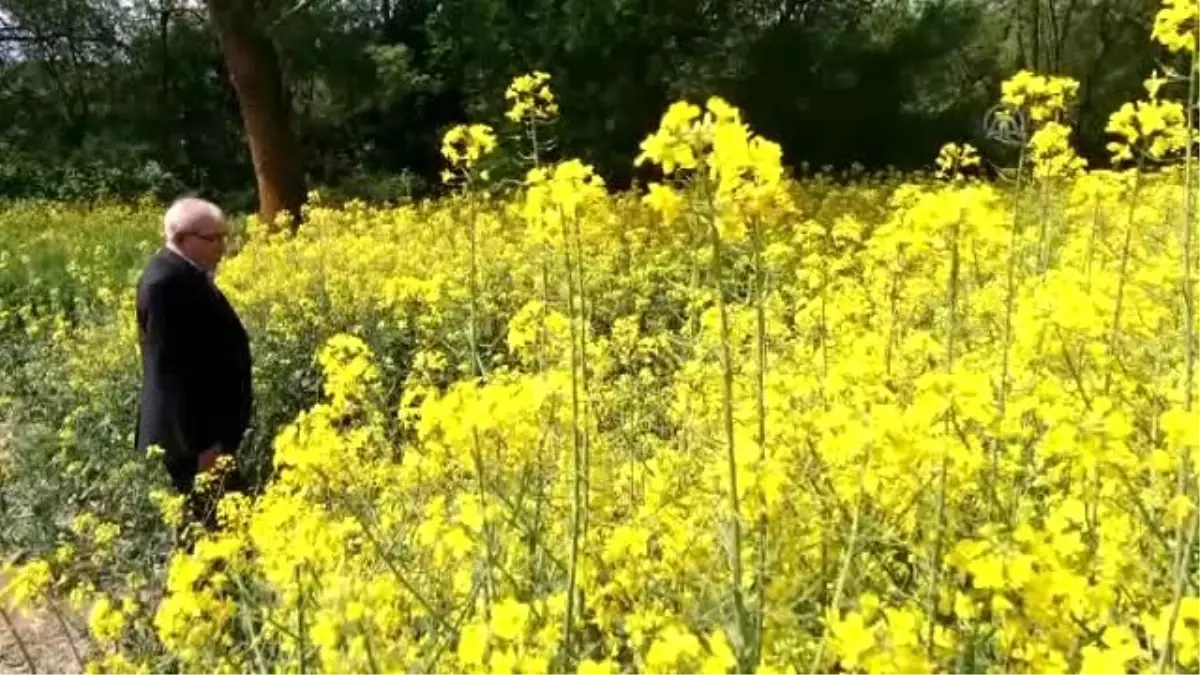 Sarı Mercedes" 29 Yıl Sonra, Bu Defa Bir Klip İçin İzleyici Karşısında