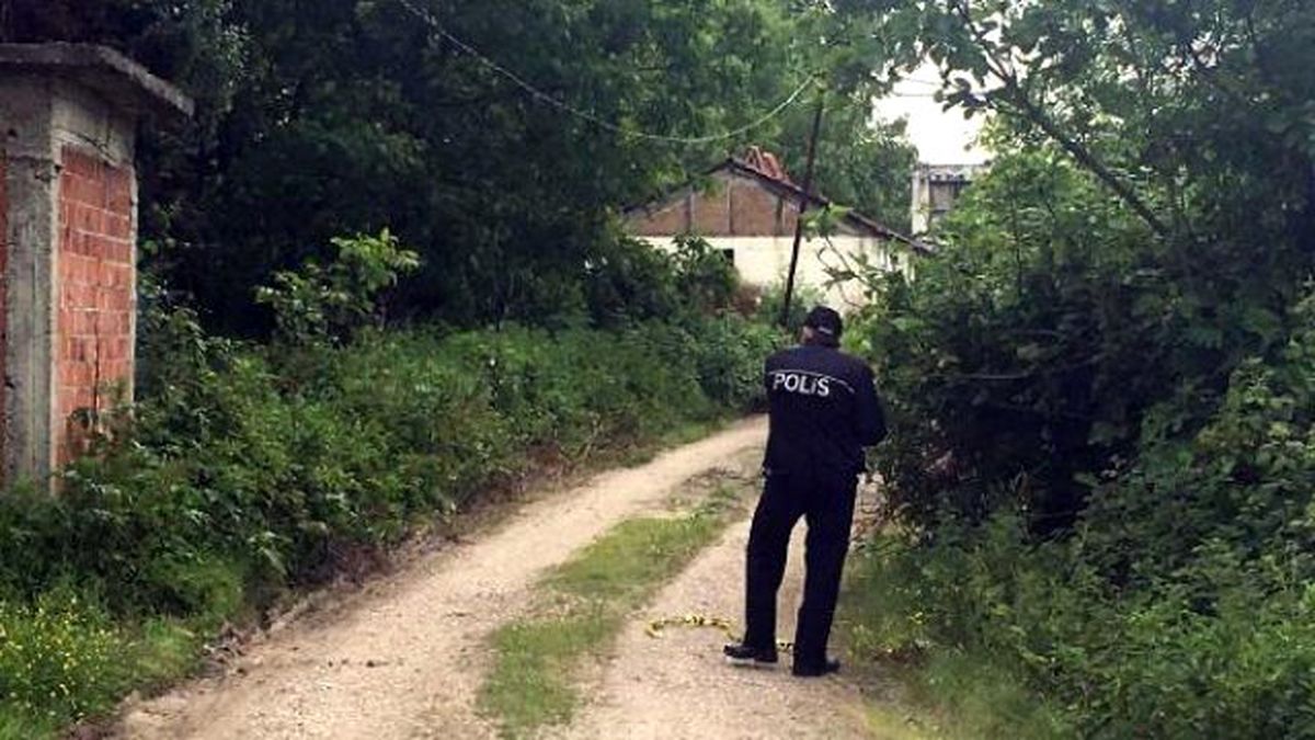 Suriyeli 3 Kardeş Babalarını Öldürüp Ağaç Altına Gömmüş