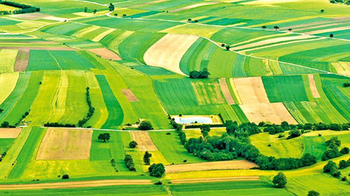 Vergisiz Miras Paylaşımı Bitiyor