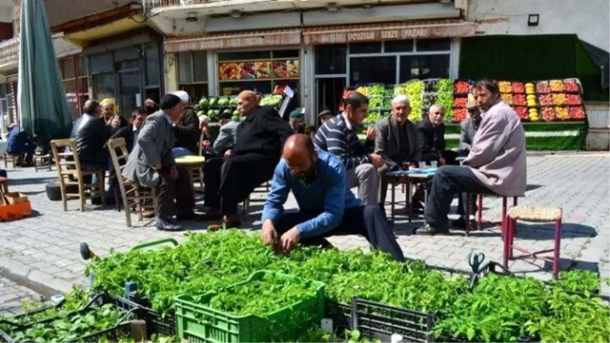 Adilcevaz'da Sebze Fidesi Satışları Başladı