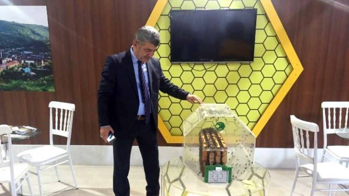 Düzce Tanıtım Günlerinde Yığılca Standına Büyük İlgi