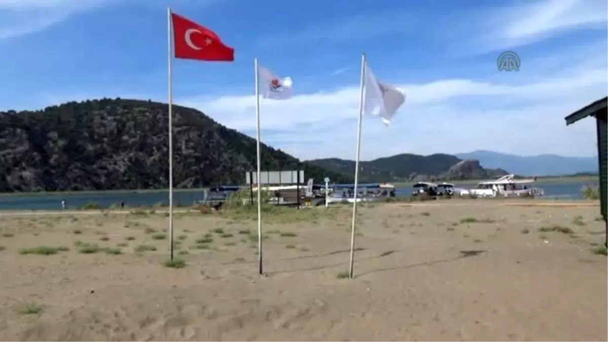 İztuzu Plaj İhalesi