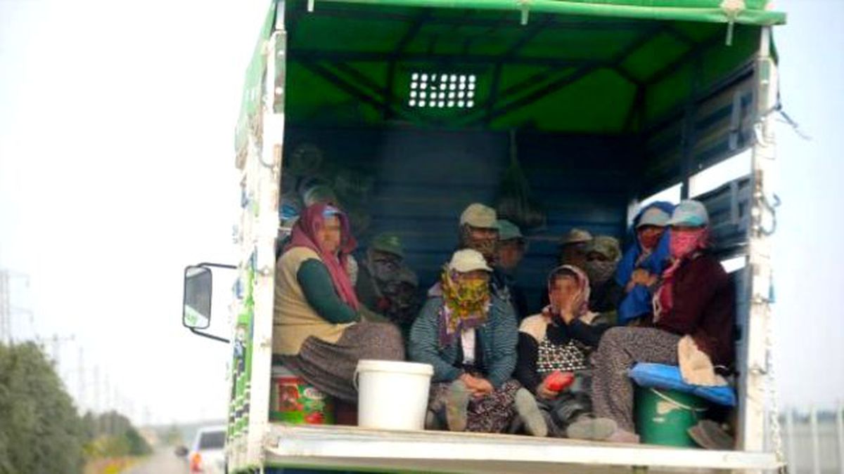 Tarım İşçilerinin Tehlikeli Yolculuğu