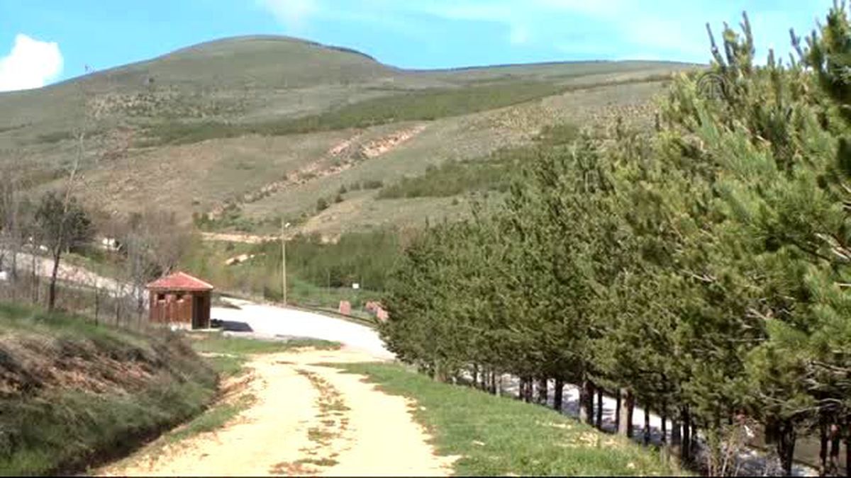 Yeşil Bayburt' İçin Ormanlık Alanlar İki Katına Çıkarıldı