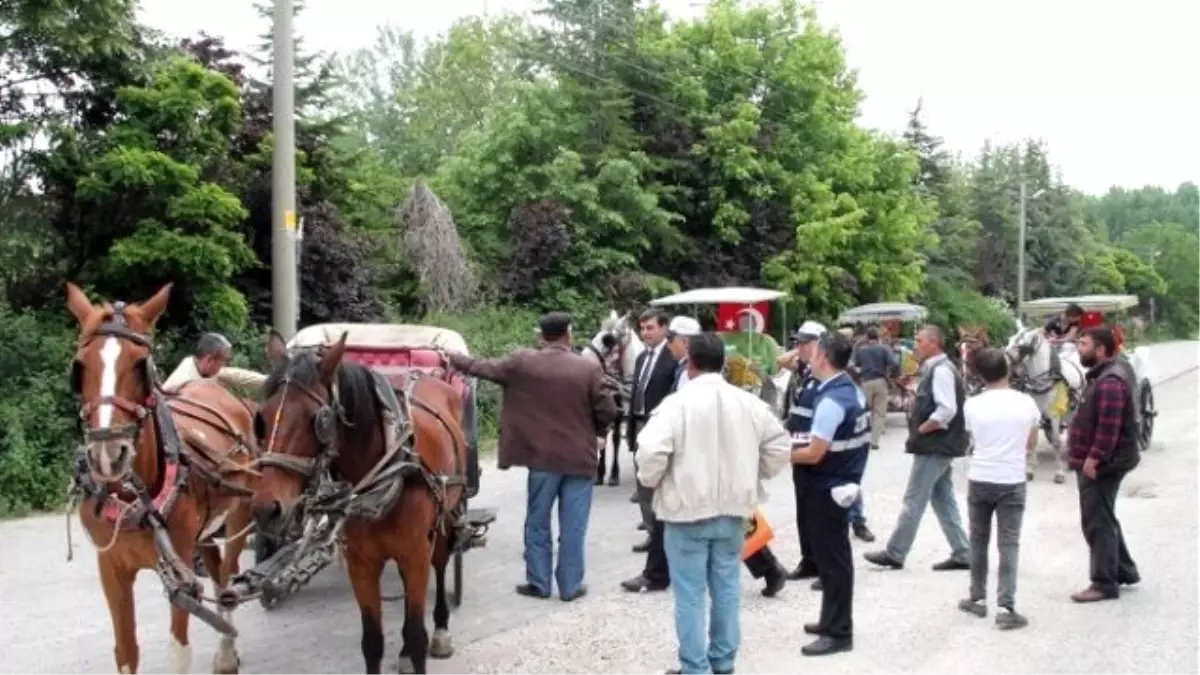 Atlar ve Faytonlar Denetlendi