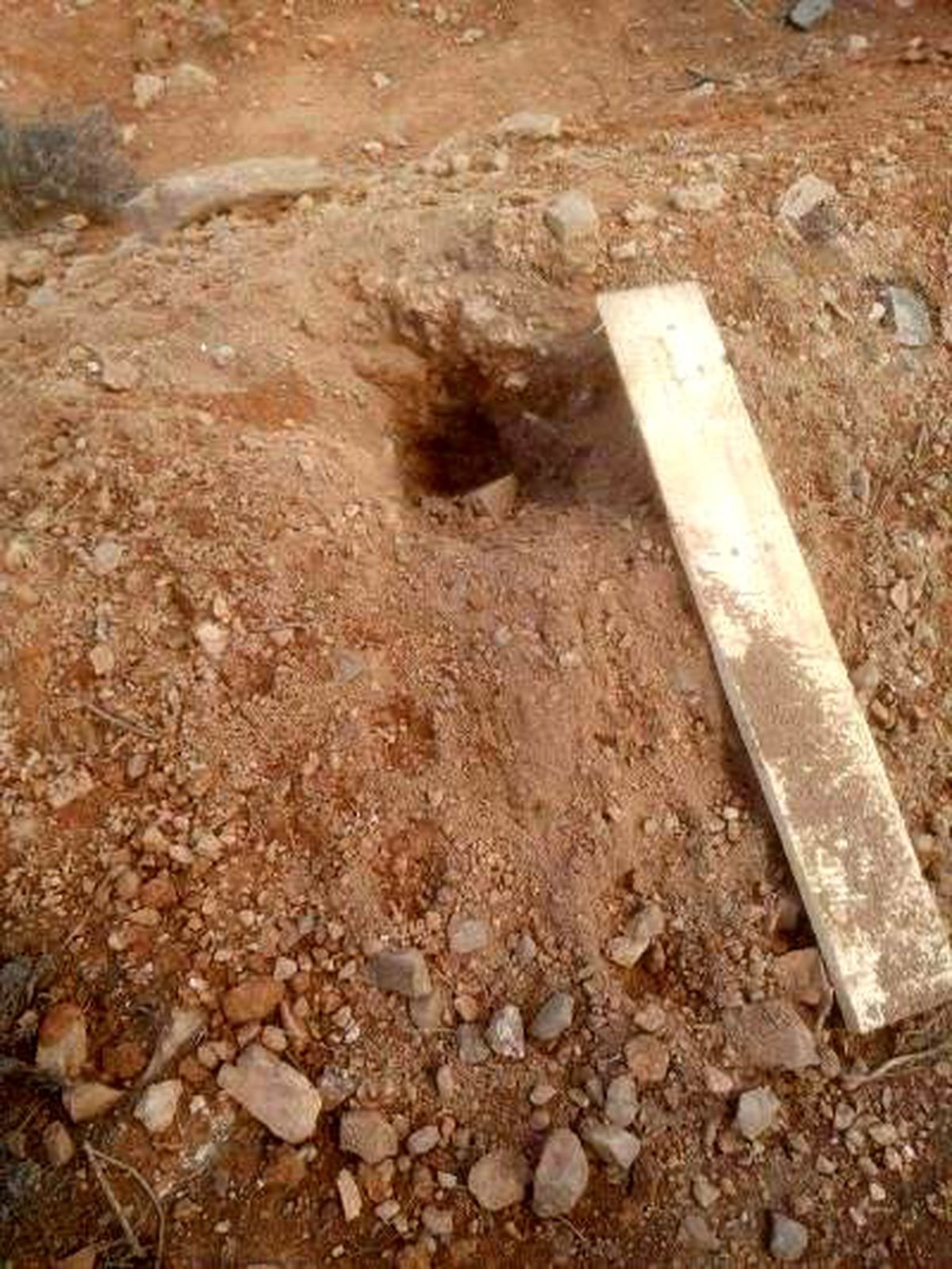 Başı Boş Köpekler Sultanbeyli'nde Mezarları Kazıyor