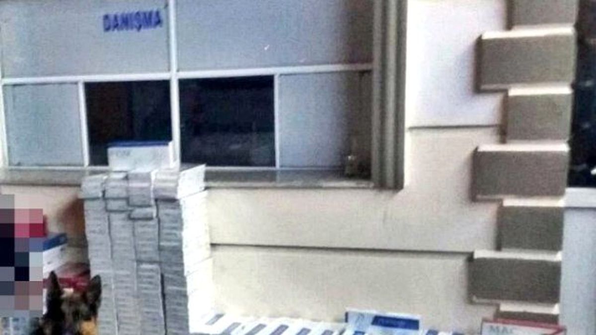 Gümrük Kaçağı 10 Bin Paket Sigara Ele Geçirildi