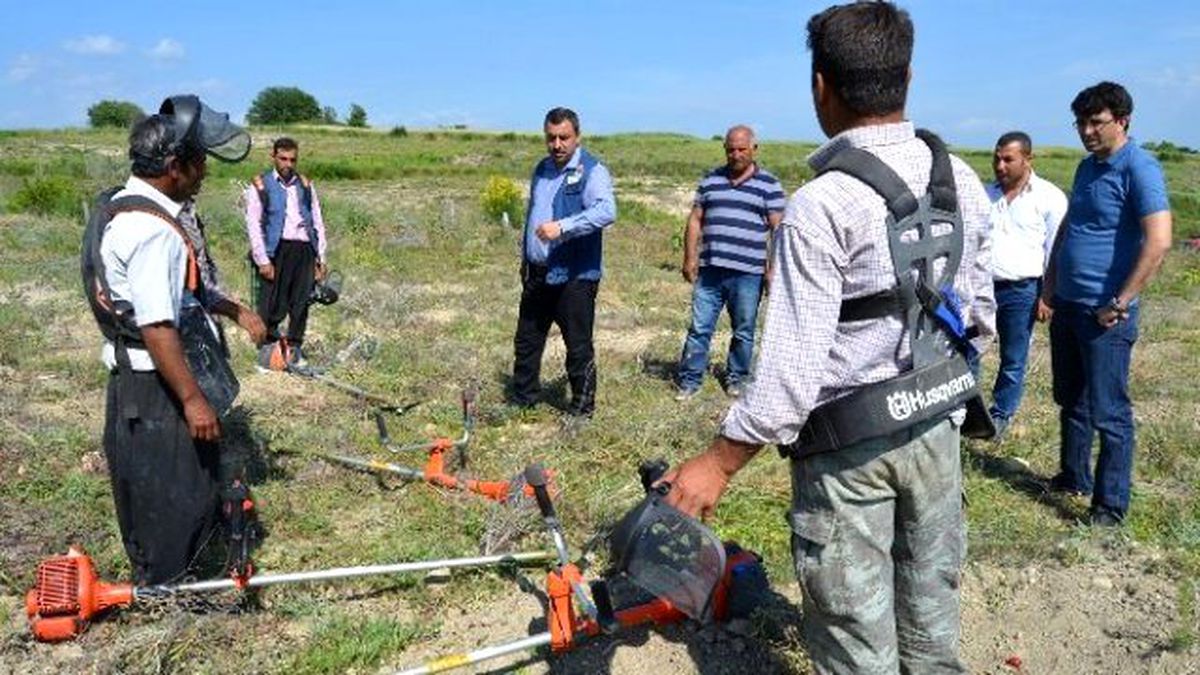 Osmaniye\'de Endüstriyel Ağaçlandırma Çalışmaları