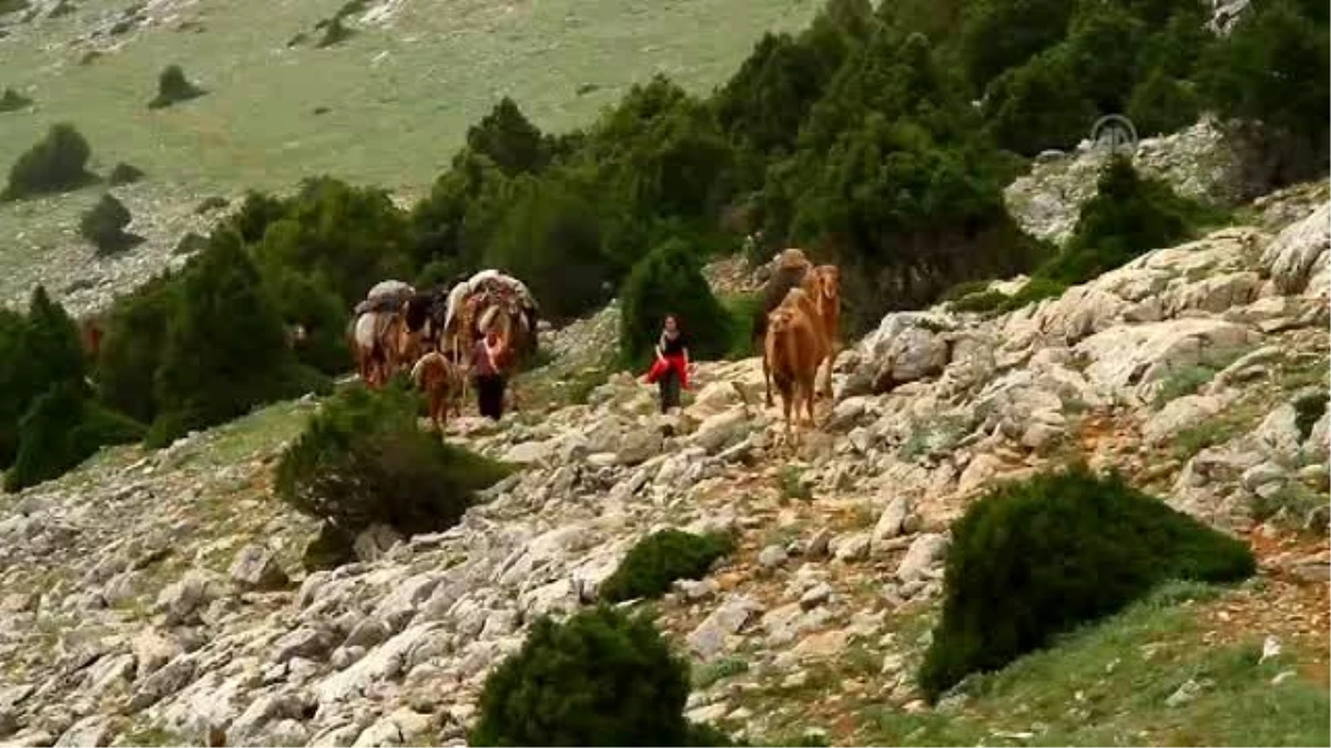 11. Sarıkeçililer Geleneksel Göç Kervanı" Etkinliği