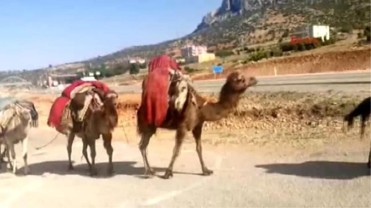 Karaman Son \'Konar- Göçerler\'in Yayla Yolculuğu