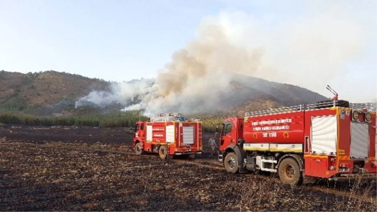Buğday Tarlasında Çıkan Yangın Ormana Sıçradı