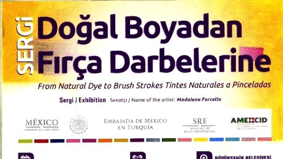 Doğal Boyadan Fırça Darbelerine