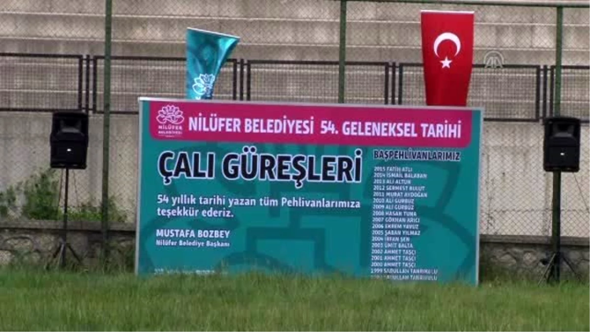 Geleneksel 54. Çalı Yağlı Güreşleri