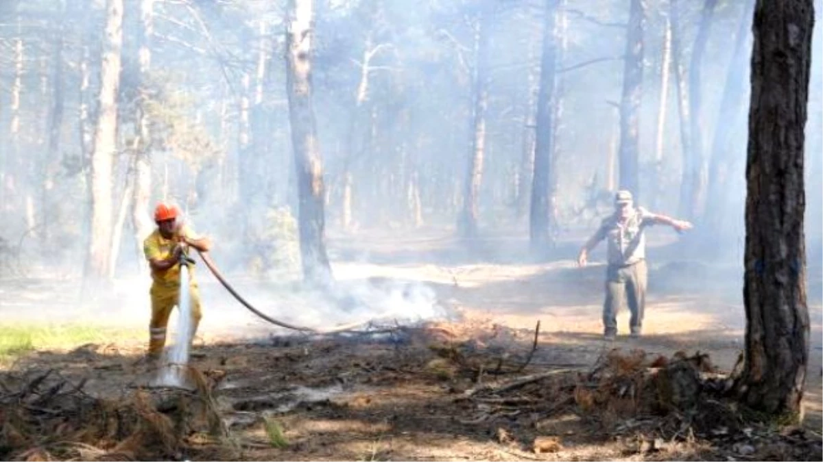 Malkara\'da 20 Dönümlük Ormanlık Arazi Yandı