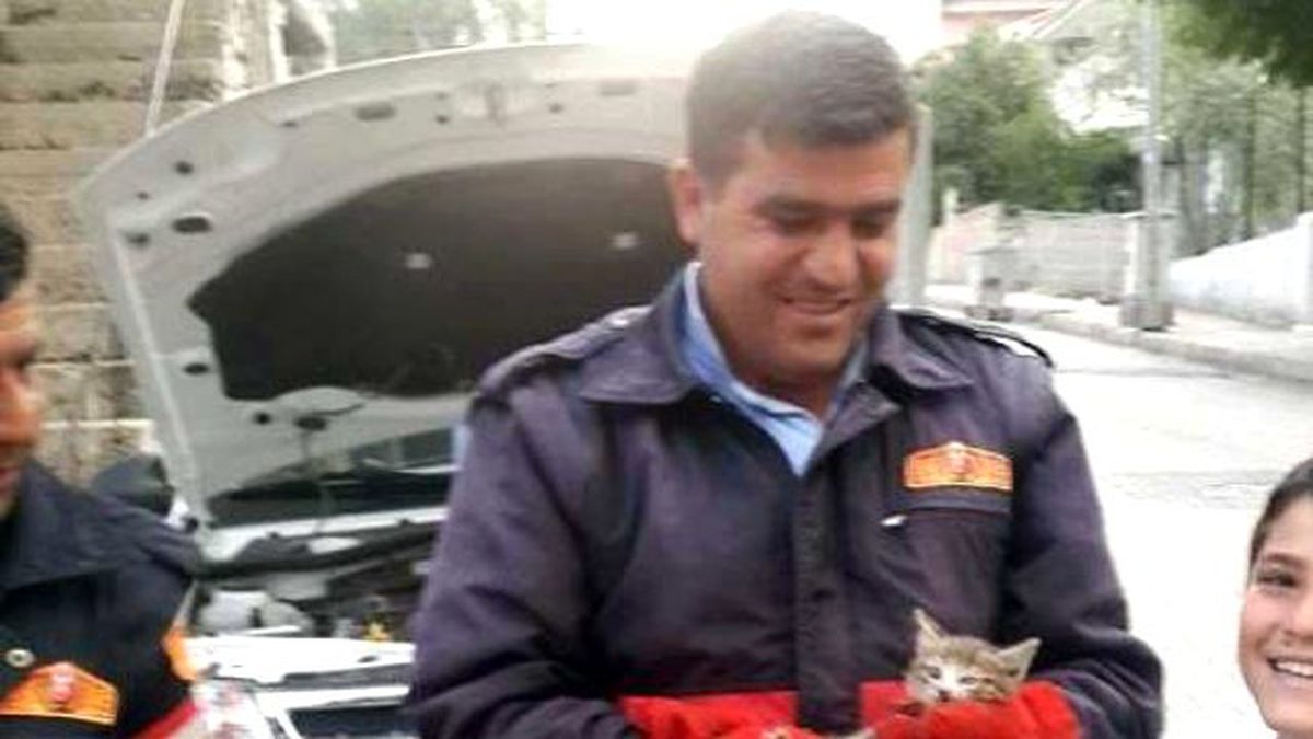 Otomobile Sıkışan Kedi Kurtarıldı