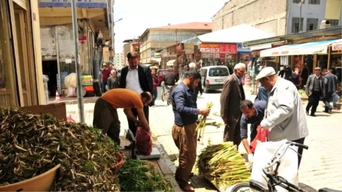 Pancar Pazarına Yoğun İlgi