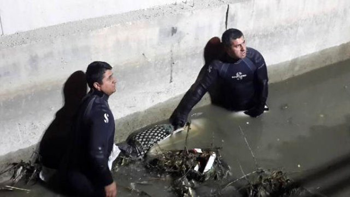 Sulama Kanalında Kadın Cesedi Bulundu