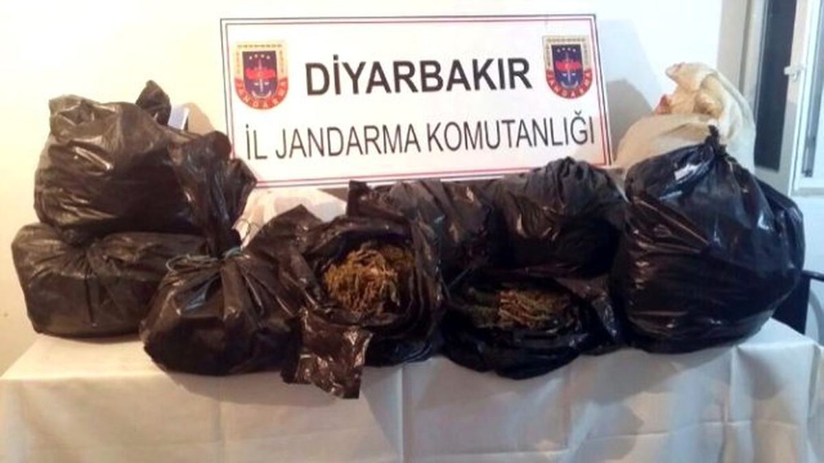 Trafik Kazası Uyuşturucu Tacirini Ele Verdi