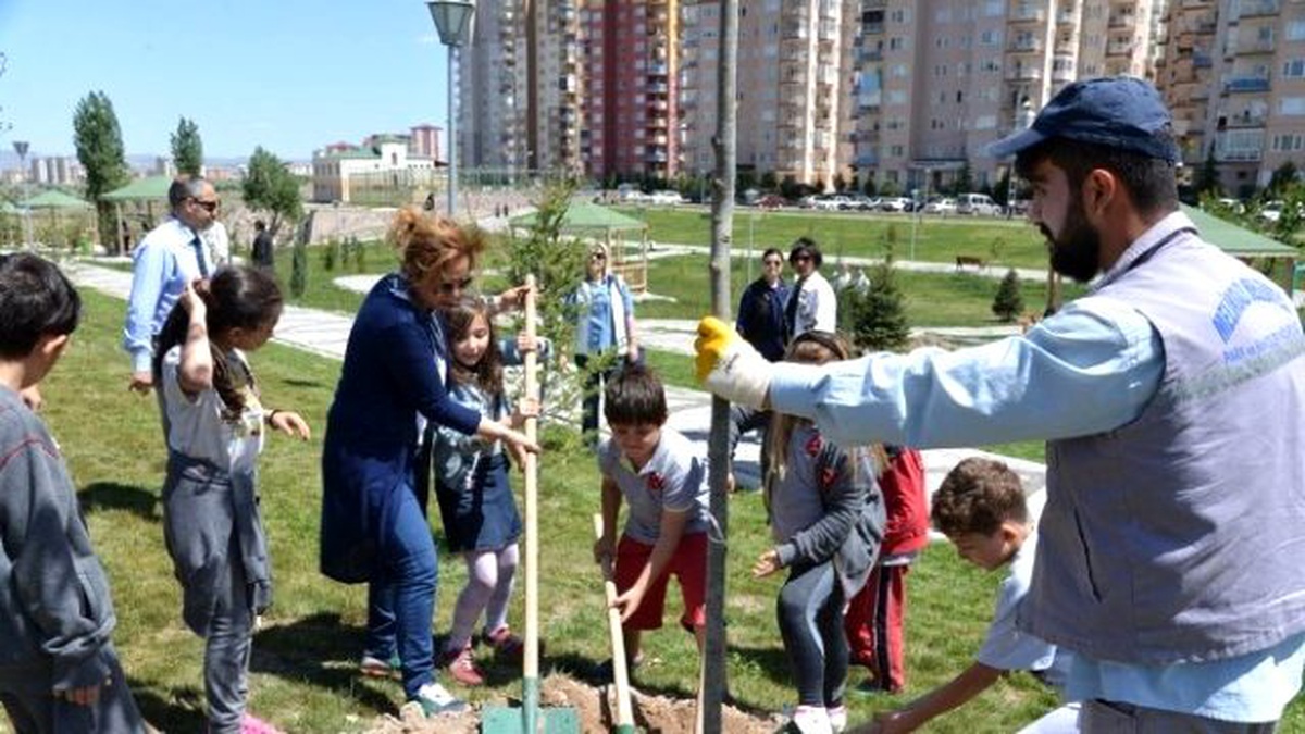 Prof. Dr. Necmettin Erbakan Parkı\'na 300 Adet Çam Fidanı Dikildi