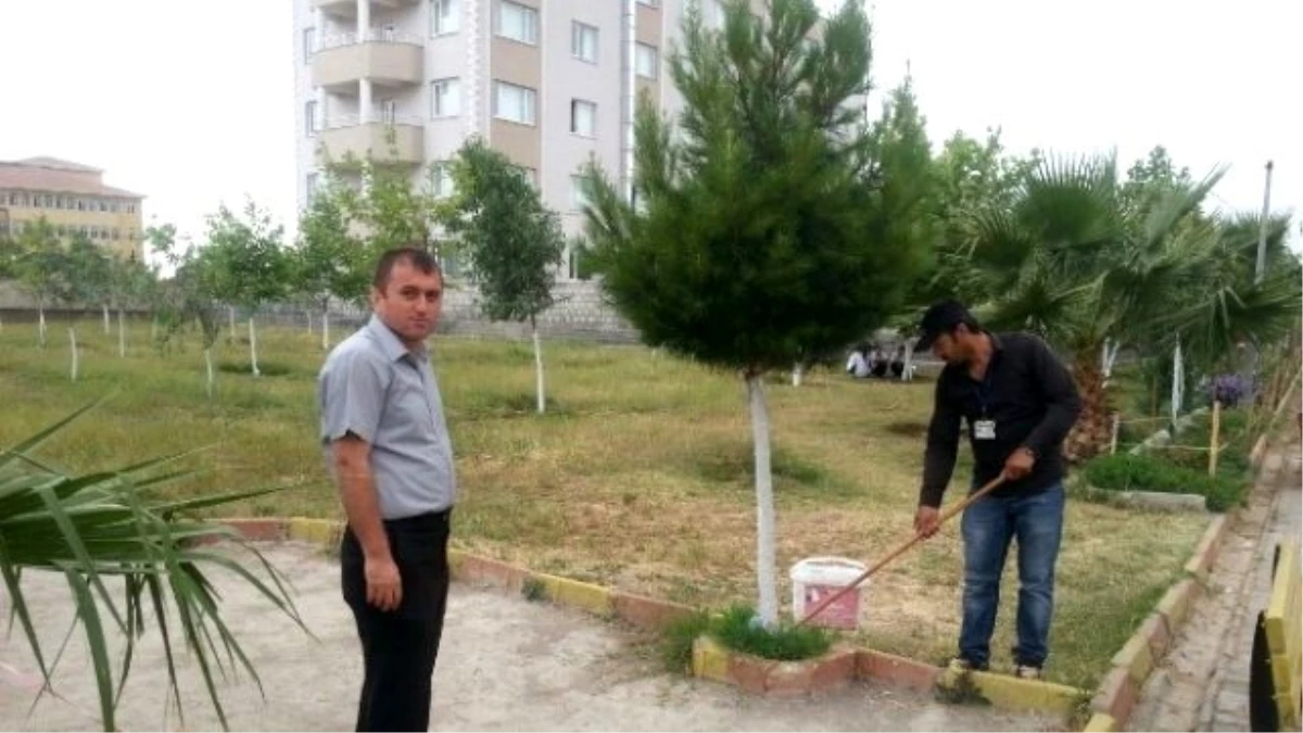Silopi Atatürk Anadolu Lisesinde Çevre Düzenlemesi