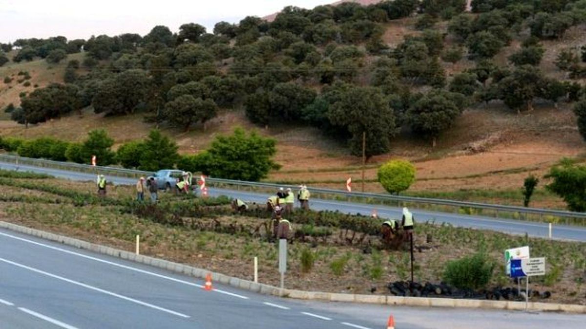 Afyonkarahisar\'da Refüj Ağaçlandırmaları Son Hız Devam Ediyor