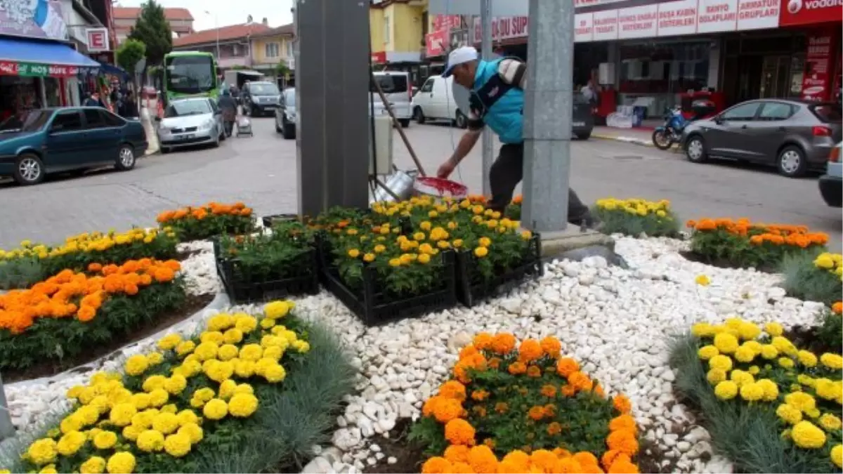 Ferizli Belediyesi Çiçeklendirme Çalışması Yapıyor