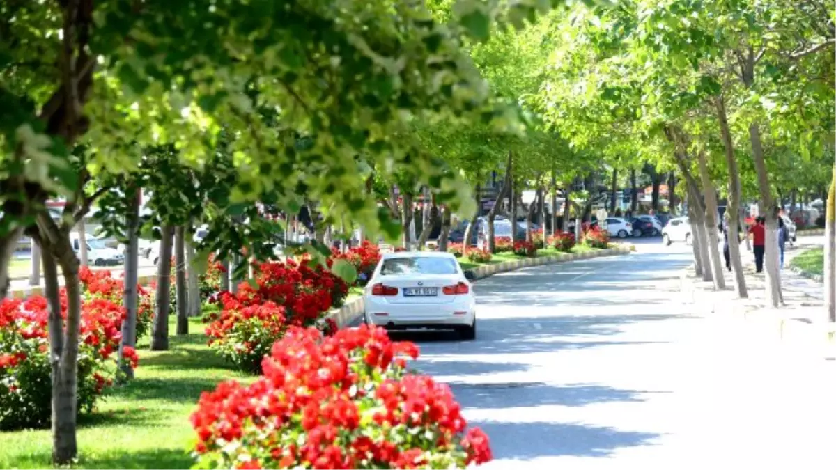 Güller İçinde Beylikdüzü