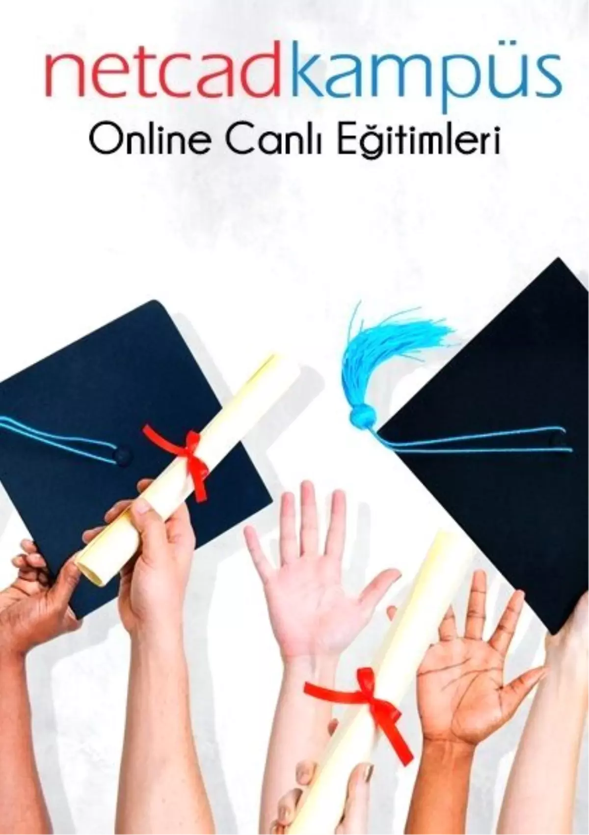 Netpro | Yol Proje Üretimi Canlı Eğitimi