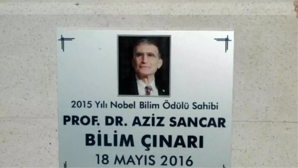 Prof. Dr Sancar\'a \'Üstün Bilim İnsanı Ödülü\'