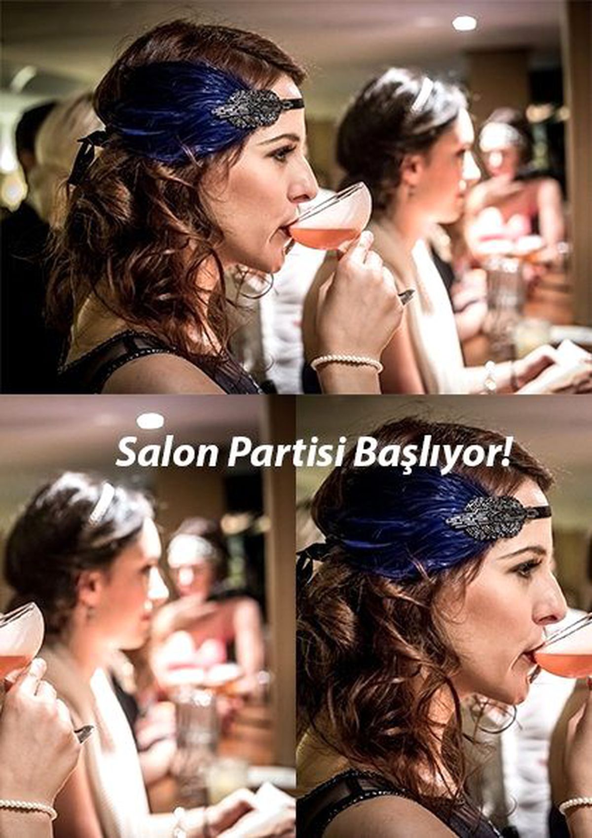 Salon Partisi