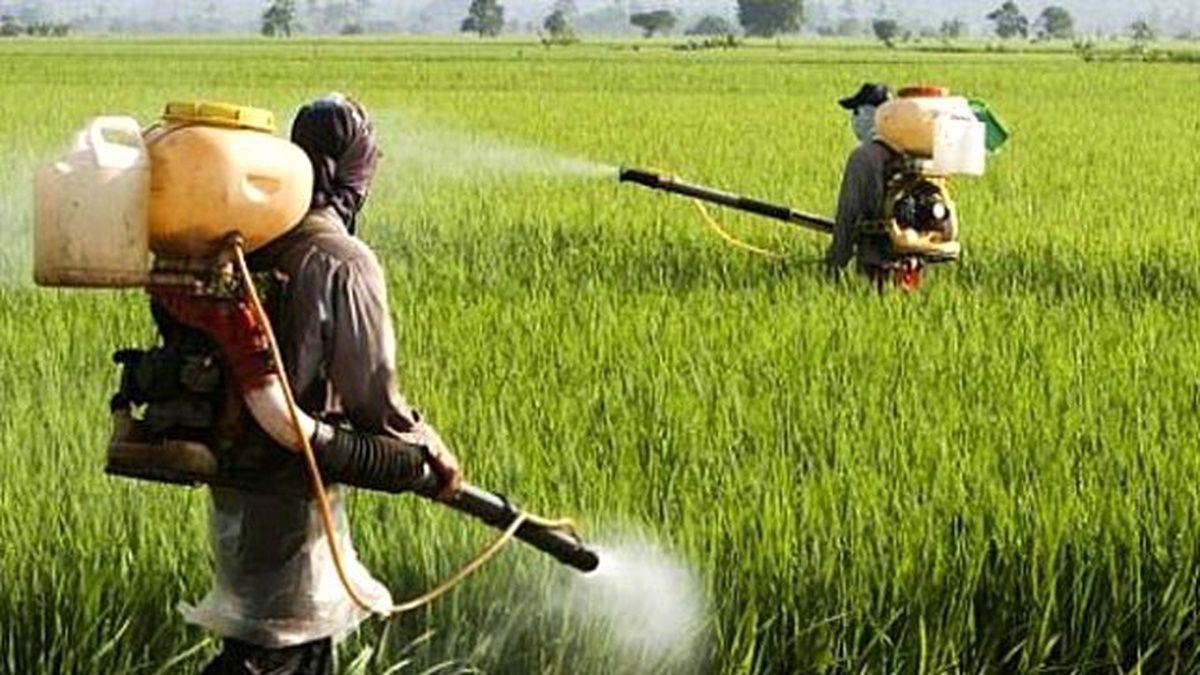 AP Tarım Zehrine 7 Yıllık İzin Verdi