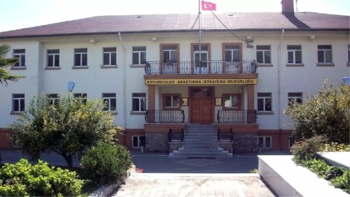 Bandırma Koyunculuk Araştırma Enstitüsü Müdürlüğün\'de Polis Arama Yaptı