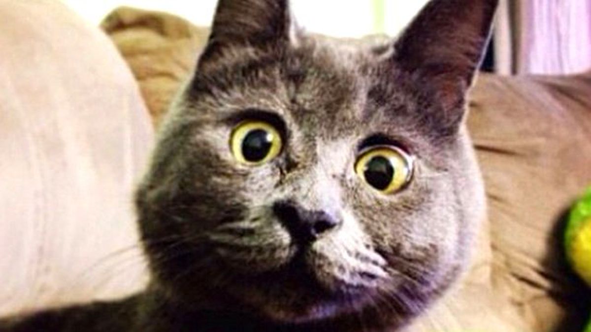 Bakışlarının Altında Hüzünlü Bir Hikaye Yatıyor