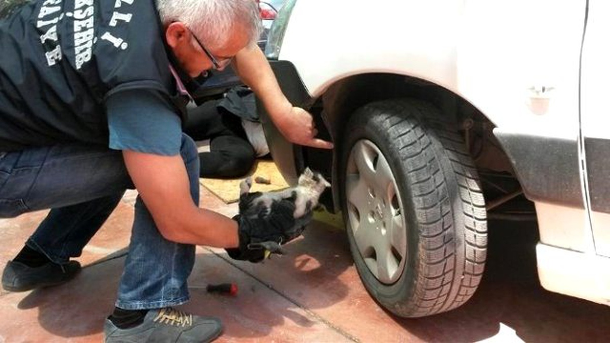 Radyatör Pervanesine Sıkışan Kediyi İtfaiye Kurtardı