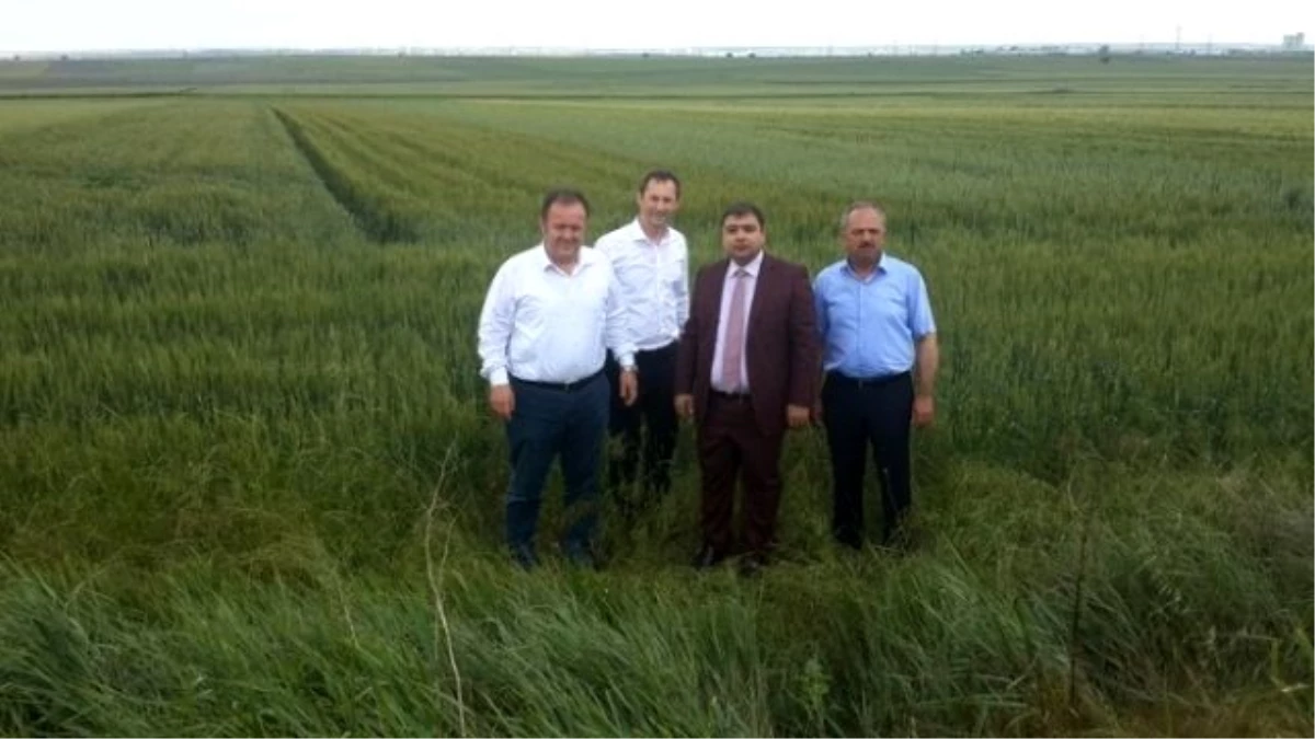 Ahimehmet\'de Buğday ve Arpa Demastrasyonu Yapıldı