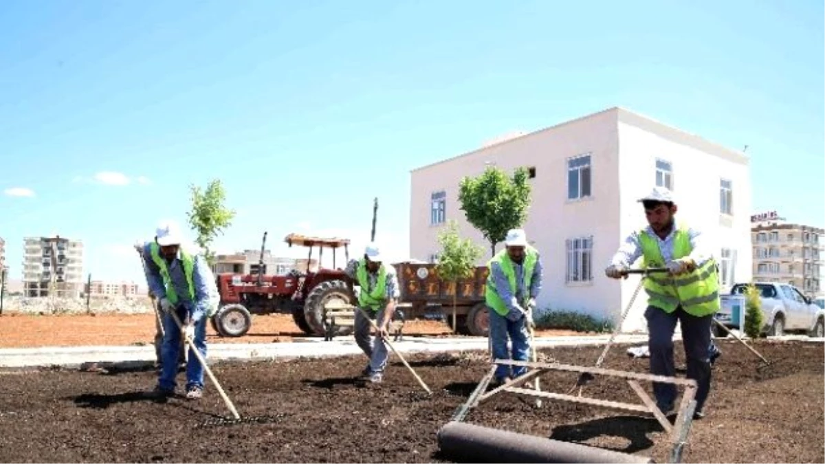 Haliliye\'de Yeni Yeşil Alanlar Vatandaşlar İçin Hazırlanıyor
