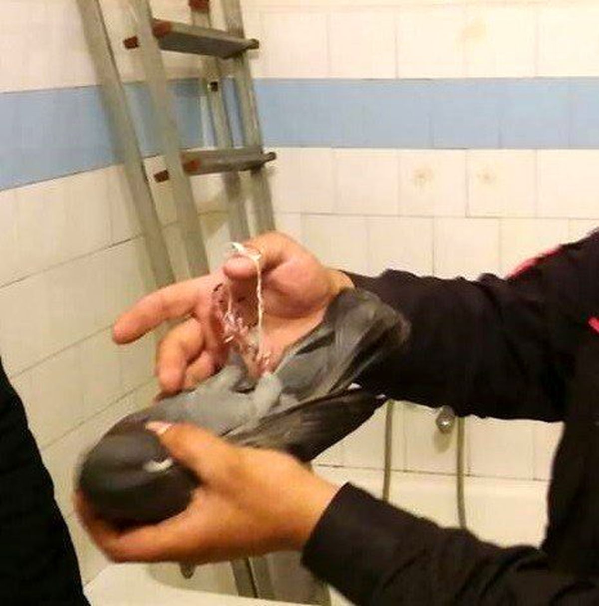 Havalandırma Boşluğuna Düşen Güvercin Kurtarıldı