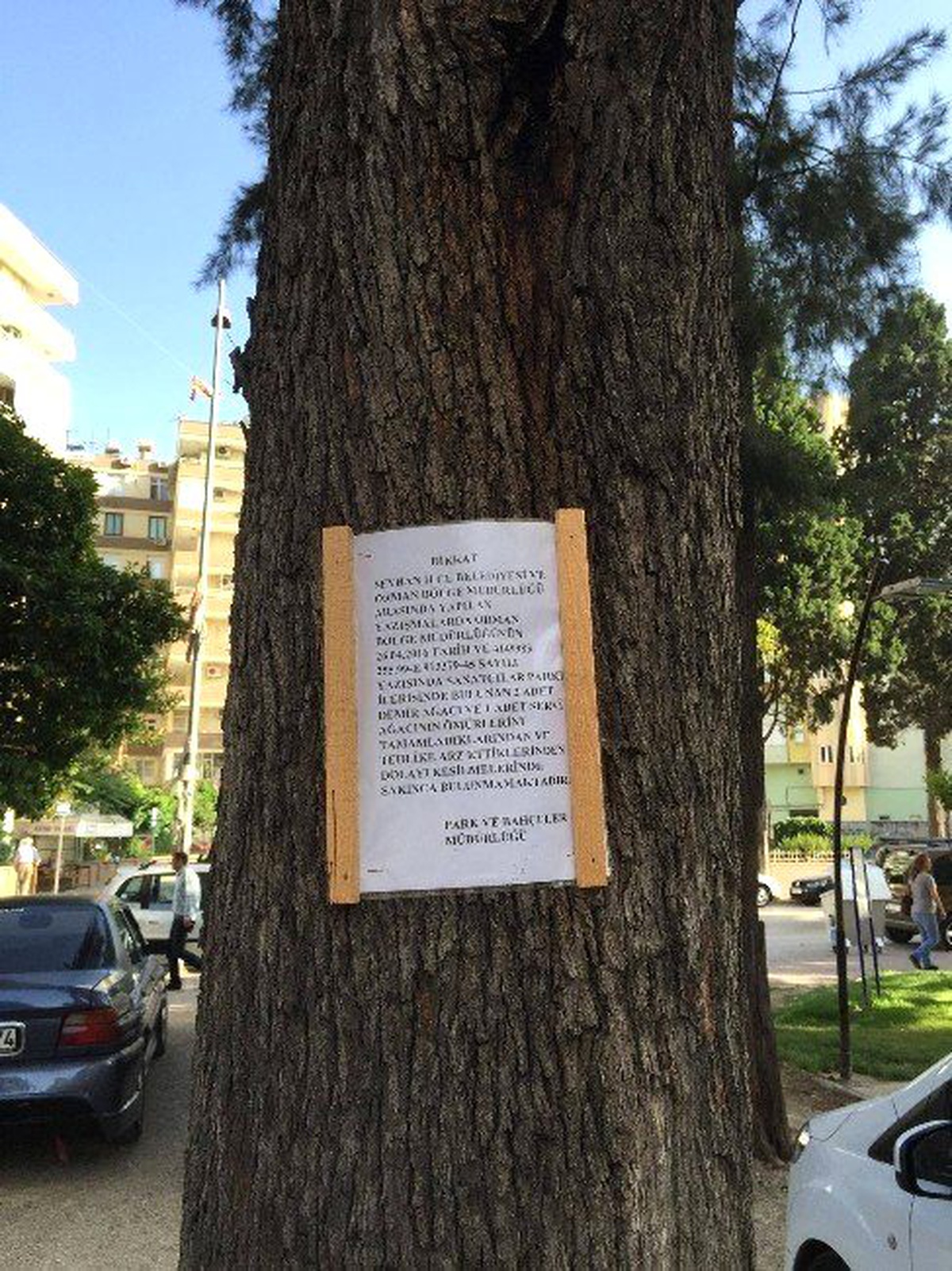 Sanatçılar Parkı\'ndaki Ağaçların Kesilmemesi İçin İmza Kampanyası