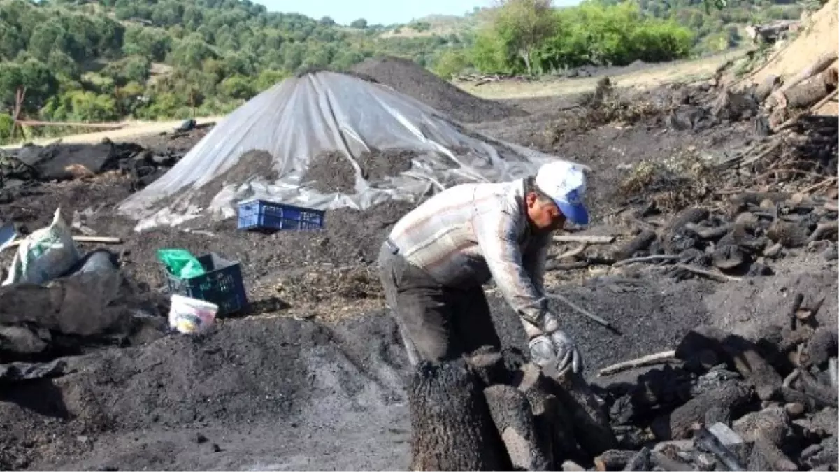 Yaz Yaklaştı Mangal Kömürü Yapımı Hızlandı