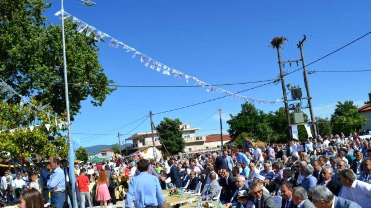 Batı Trakya\'da Sünnet Coşkusu