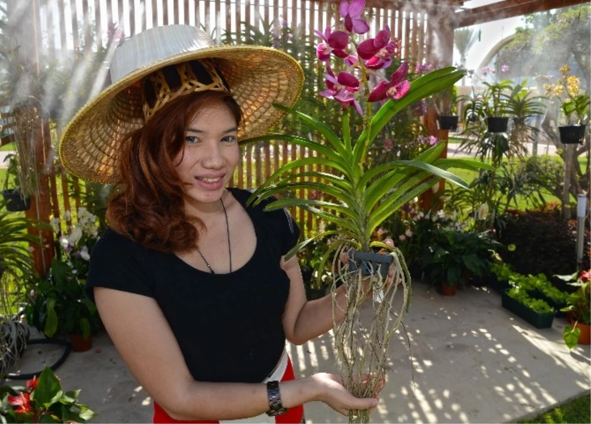 Tayland\'dan Expo 2016\'ya Özel Orkide