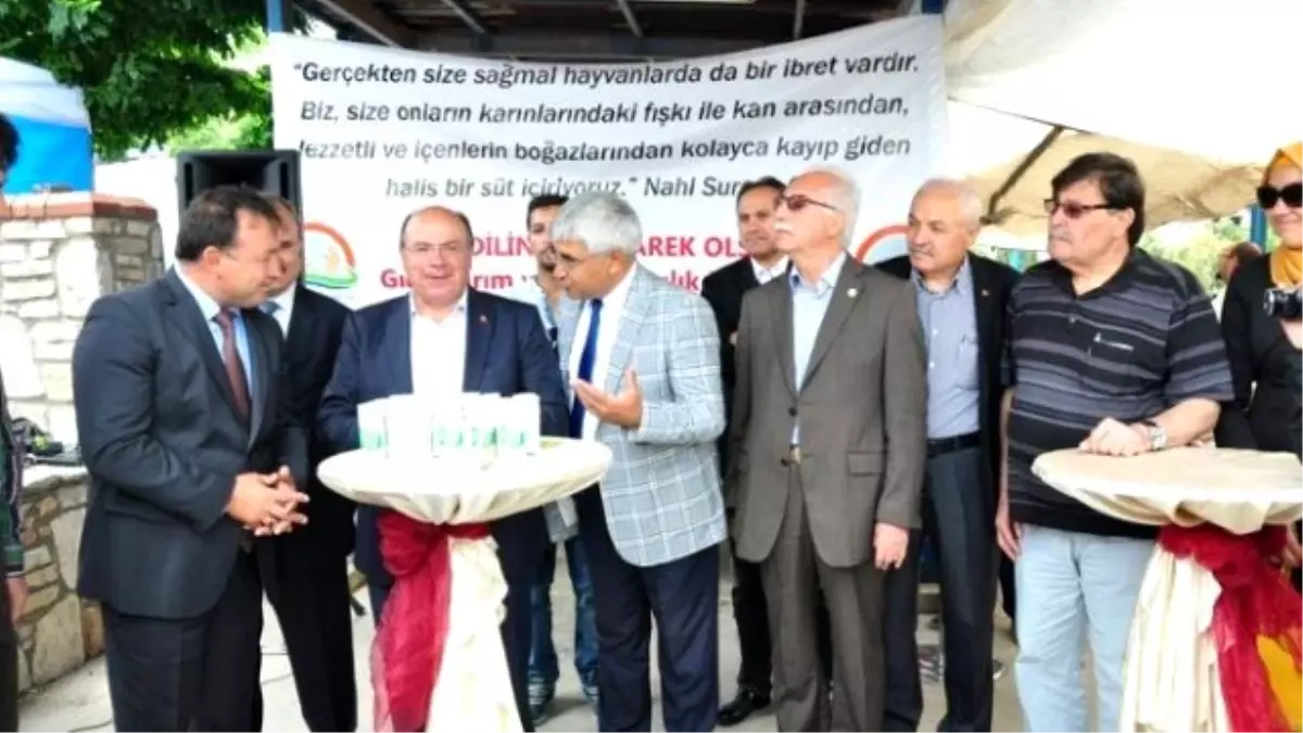 Vali Çiçek Milas\'ta Süt Dağıttı