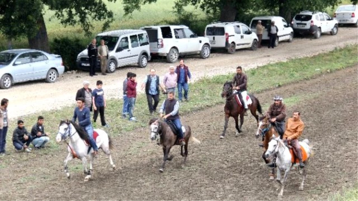 6. Geleneksel Altın Kemerli Rahvan At Yarışları Bursa\'da Gerçekleşti