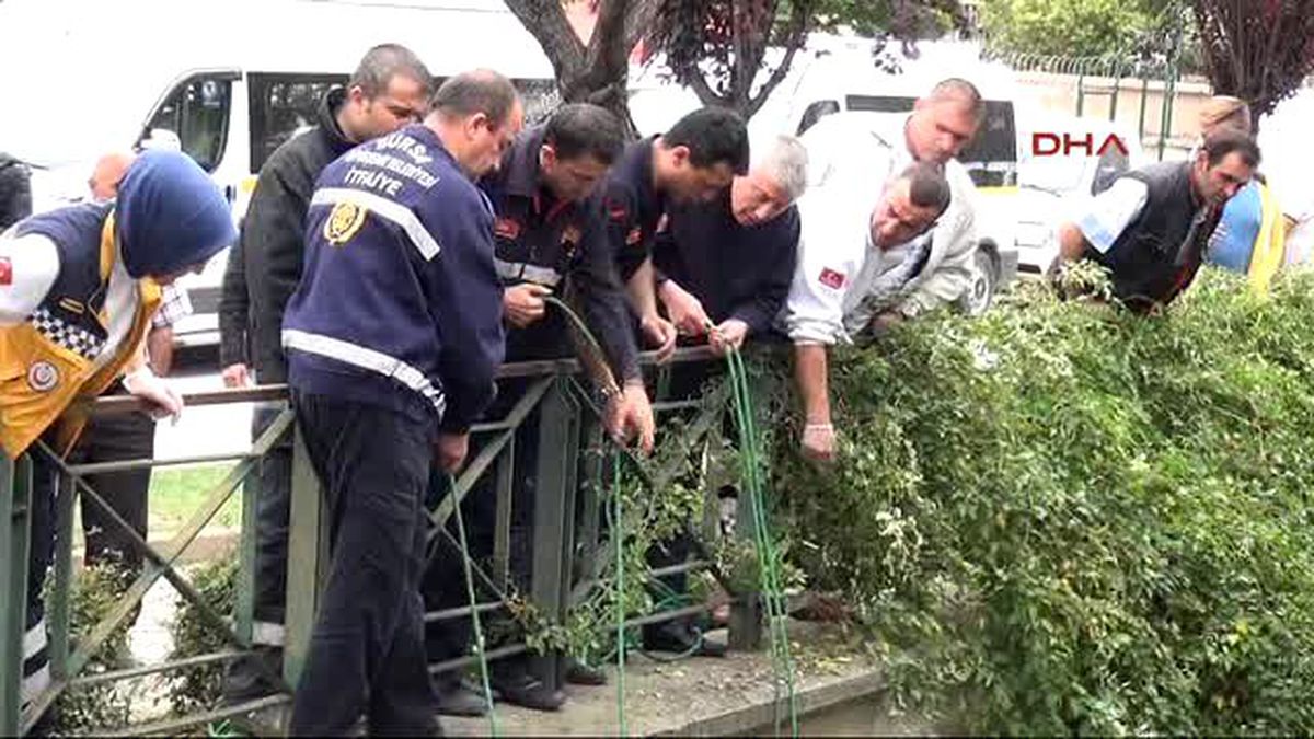 Otomobilde Annesiyle Tartışan Kadın 7 Metreden Dereye Atladı