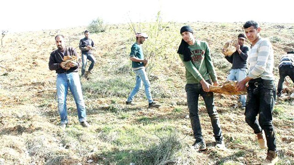 3 Bin 800 Suriyeli Resmen İşçi Oldu