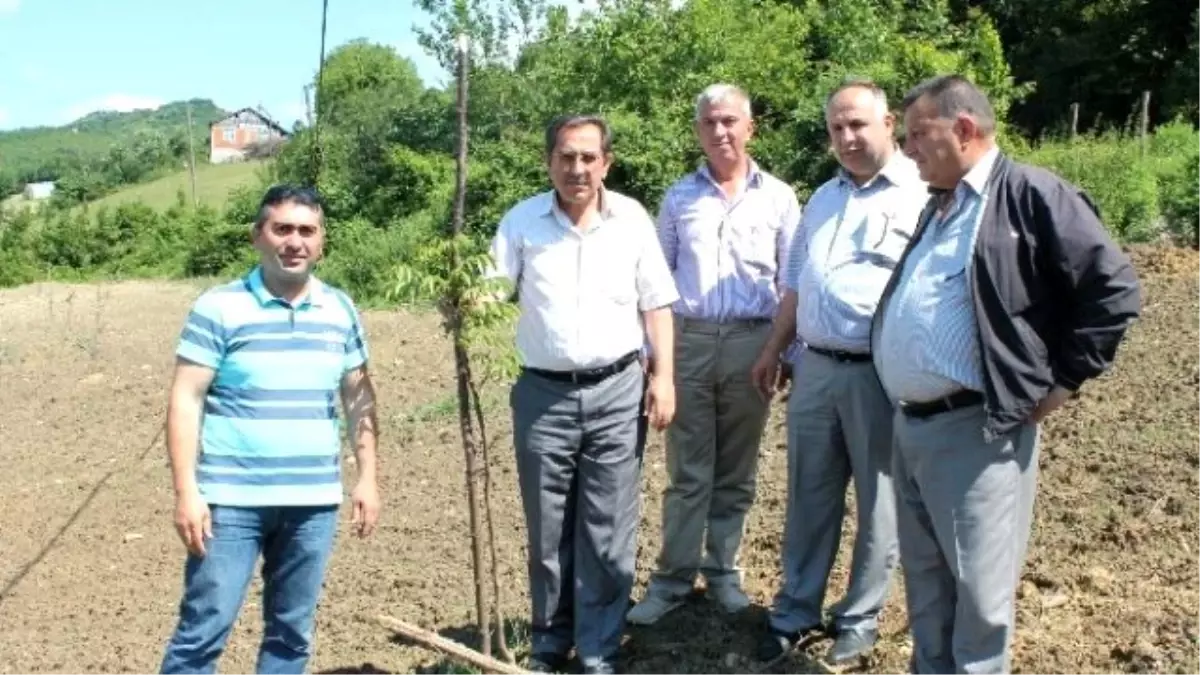 Bayram, Demonstrasyon Ceviz Bahçesini Gezdi