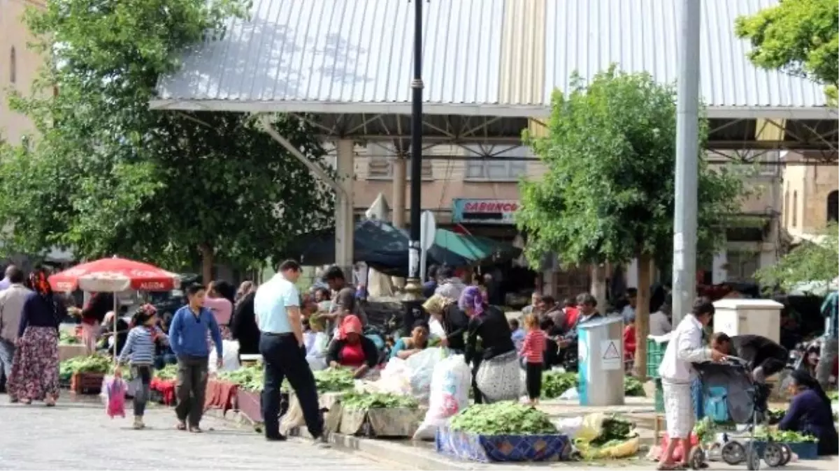 Kilis\'te Asma Yaprağına Yoğun İlgi