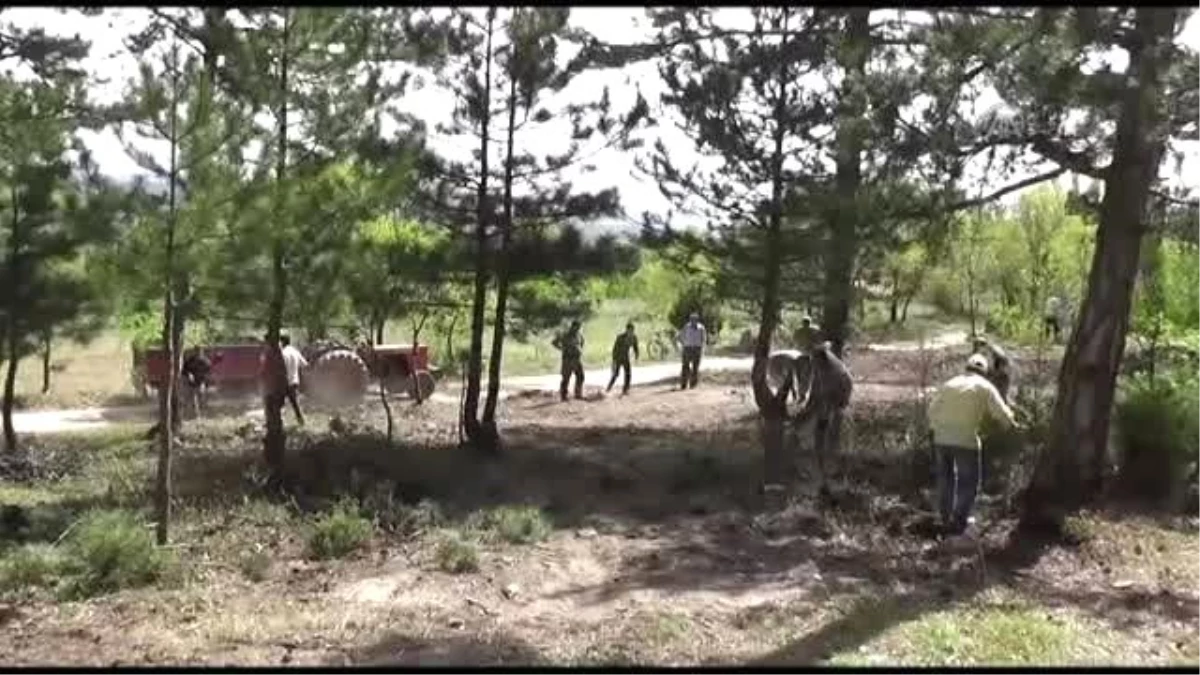 Domaniç\'te Gurbetçiler Köylerini Temizliyor