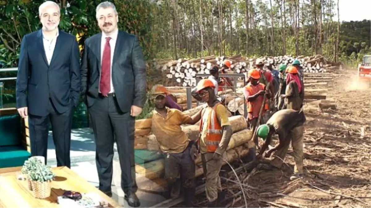 Dominik\'e Keşif İçin Giden Türk İş Adamı Ormanın Kralı Oldu