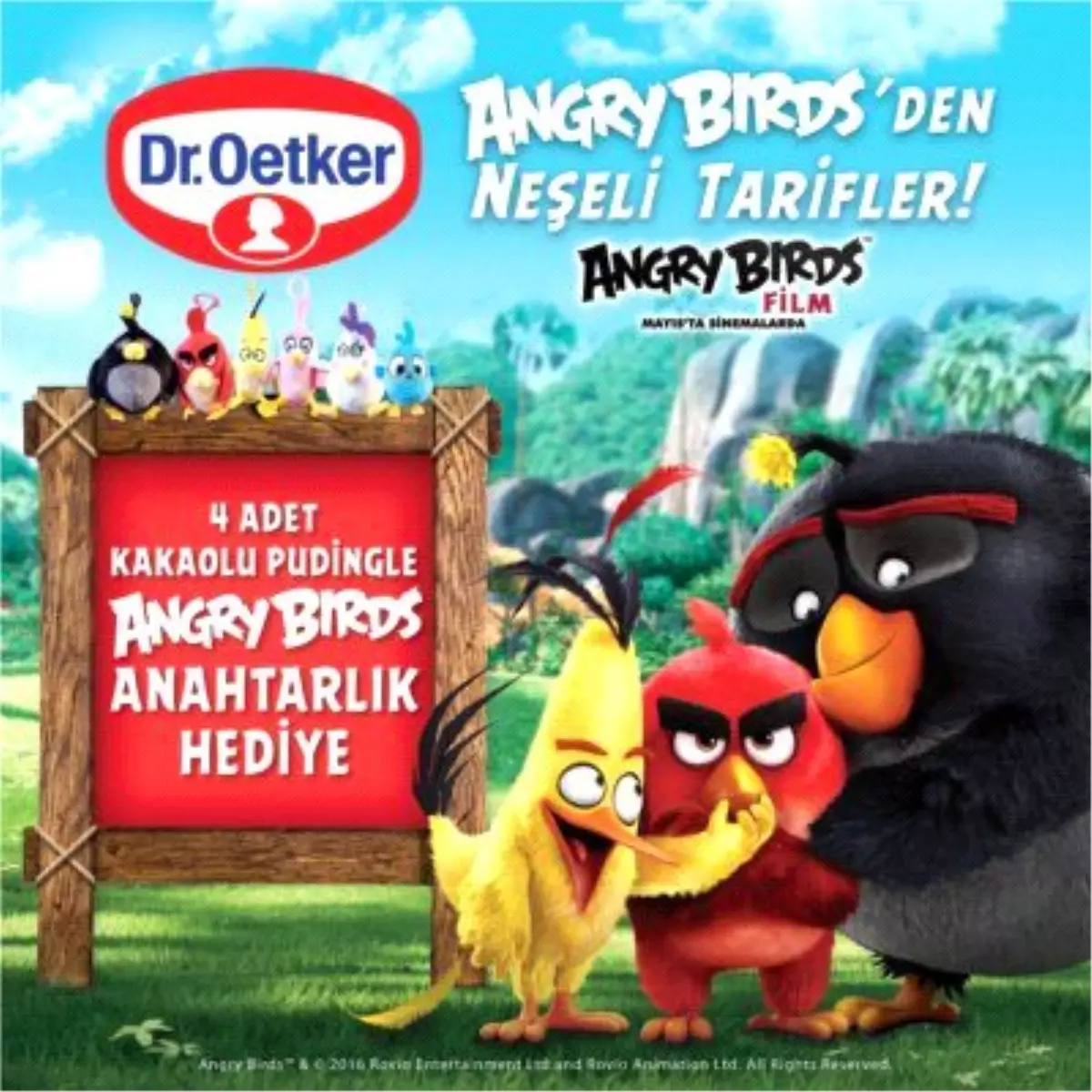 Dr. Oetker Kakaolu Pudingler Angry Birds Anahtarlık Hediyeli